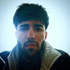 Amir siistem