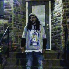 GEOMETREE//ViViDAViD