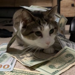 xenozany