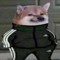 shacostco