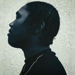 Draken NizzyL✪