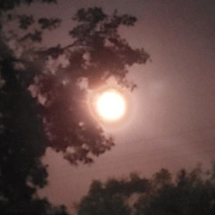 STELA 💃🌹❤️✨️✌️✨️🌏✨️🫂✨️🌌💫