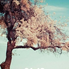 ķíìķîmömæxëý