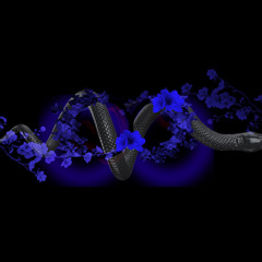 E1