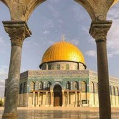Medhat M Rashad