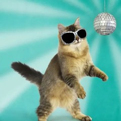 advocat