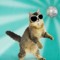 advocat