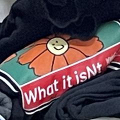 たいよう20060715