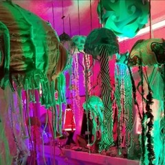 imakethejellyfish