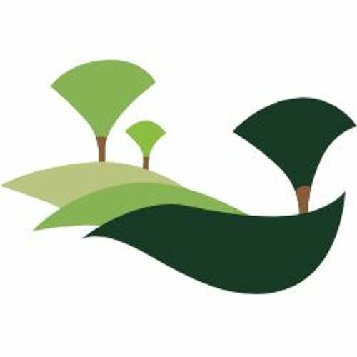 Landscaping Wollongong’s avatar