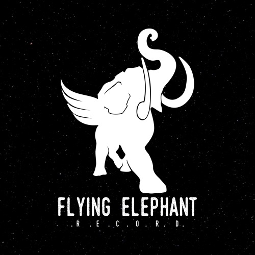 flying elephant record’s avatar