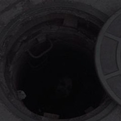 CxRMxN WINSTxxD