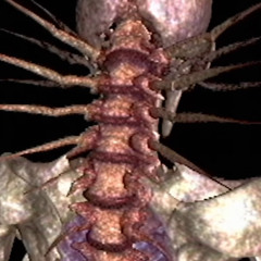 Deadmanahbi