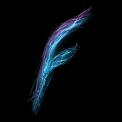feisar6