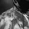Fenix_music