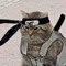 kitty
