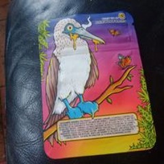 José Carlos Román Herranz