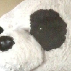 JaPanda