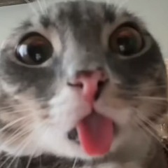 liljimbob
