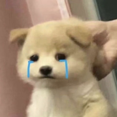 Elly’s Trần