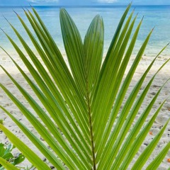 Johnathan Fithngan💯🏝️
