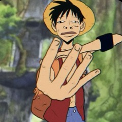 that one piece fan