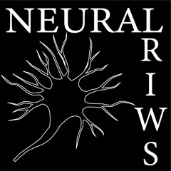 Neural Swirl
