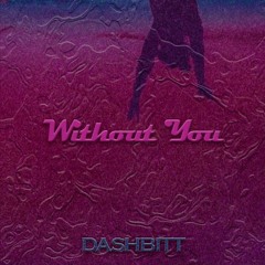 Dashbitt