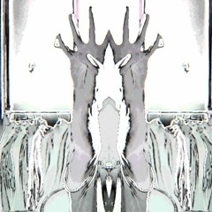 Snar_et