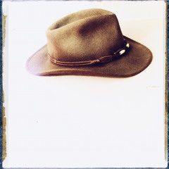 Oh My God! The Snakes Got Out!!