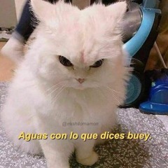 Diego uwu💞