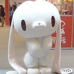 胎盤