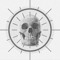 skull:axis
