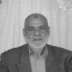 عبد الرحمن البرعي