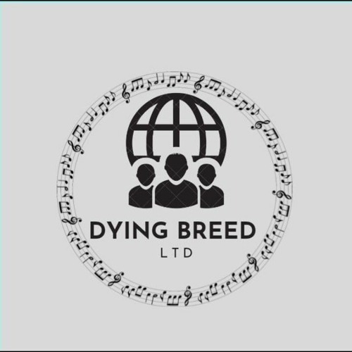Dying Breeddd’s avatar