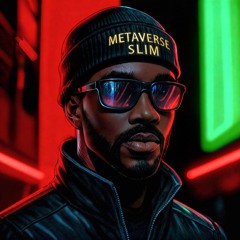 MetaVerse Slim