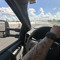 tristant1k