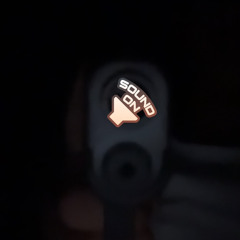 sasin B