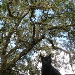 Computer "G" - November 4, 1995