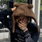 Slothy