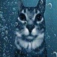 τγαHκα pΩd mefFΞdr0N⊙Σ