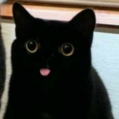 Виталий Науменко