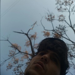 divooneh