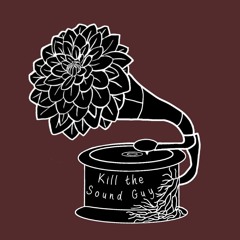 Kill the Sound Guy