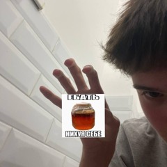 Xd