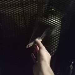 dornanqq