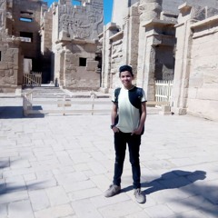 الراجل ده هيجننى