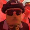 its.pavic