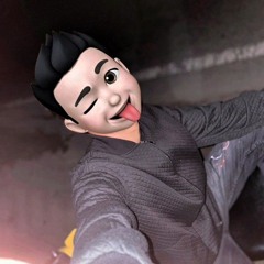 ARMAN113