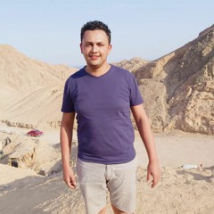 ابراهيم عبد الفتاح